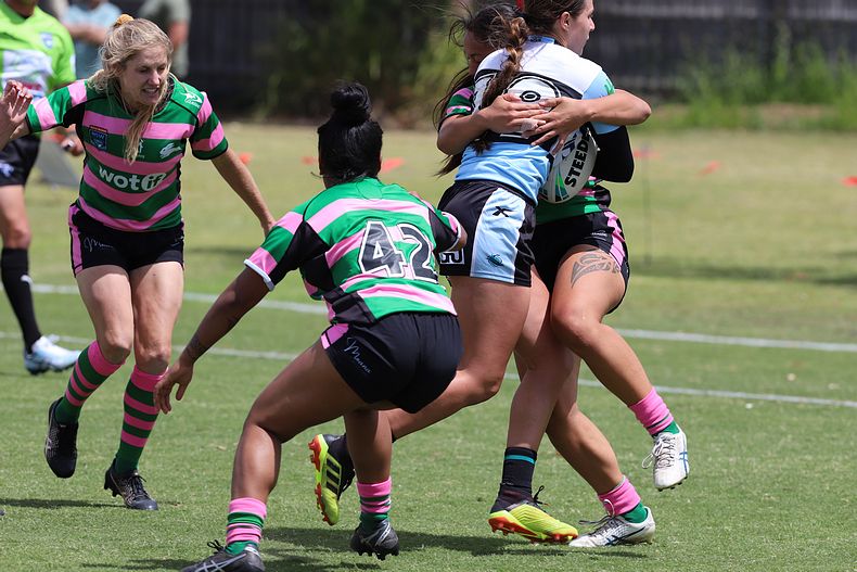 HNWP Trial SHARKS v RABBITOH’S