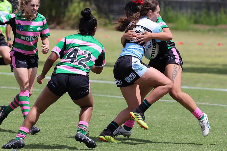 HNWP Trial SHARKS v RABBITOH’S