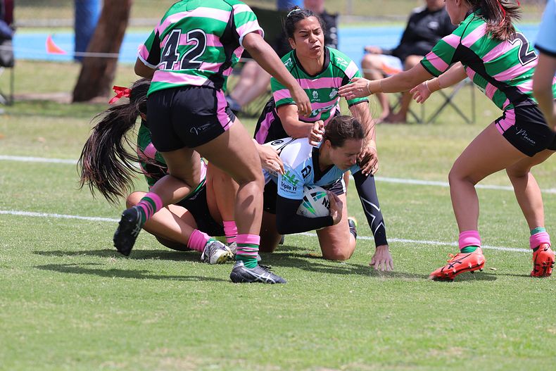 HNWP Trial SHARKS v RABBITOH’S
