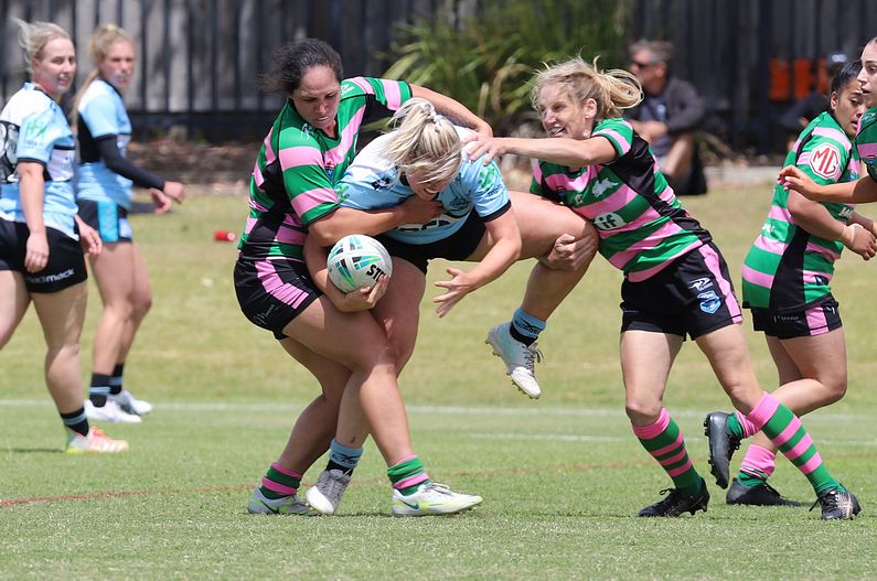 HNWP Trial SHARKS v RABBITOH’S