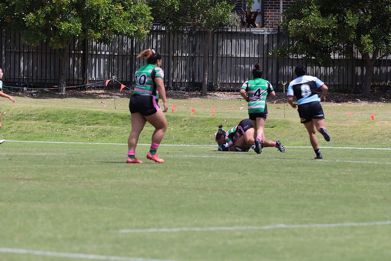 HNWP Trial SHARKS v RABBITOH’S