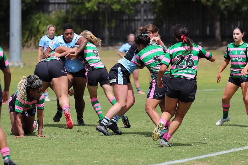 HNWP Trial SHARKS v RABBITOH’S