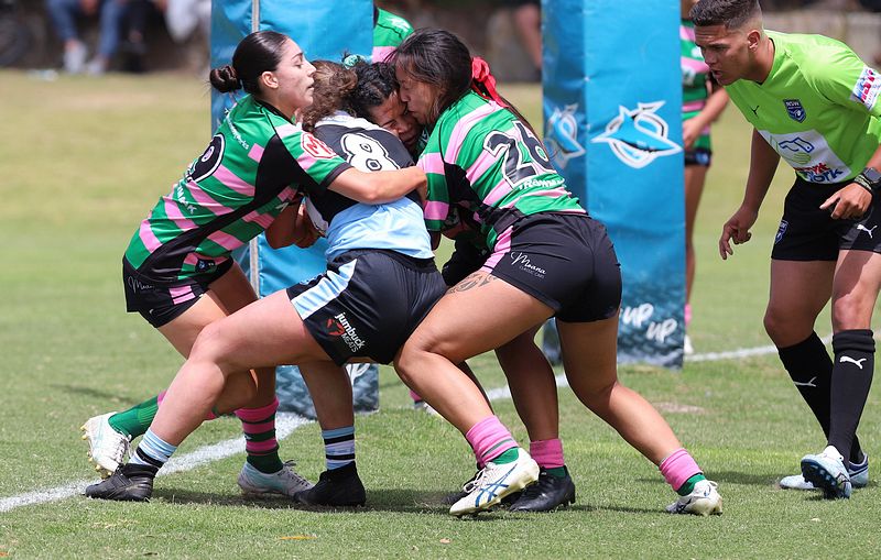 HNWP Trial SHARKS v RABBITOH’S