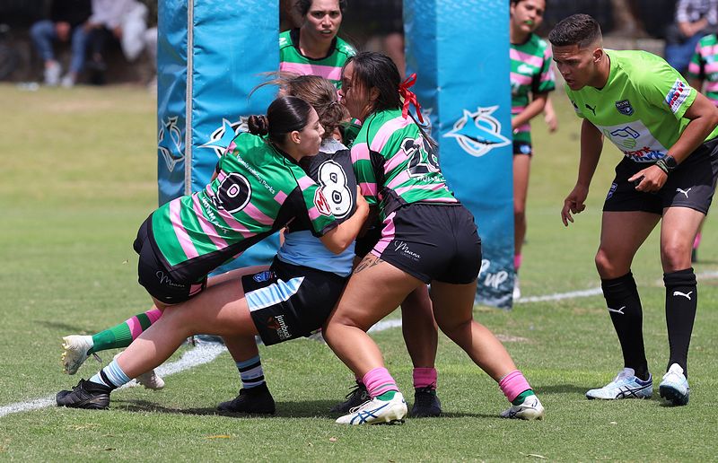 HNWP Trial SHARKS v RABBITOH’S