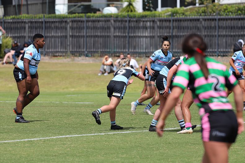 HNWP Trial SHARKS v RABBITOH’S