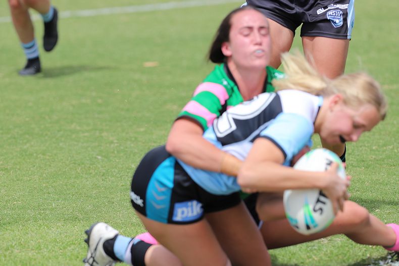 HNWP Trial SHARKS v RABBITOH’S