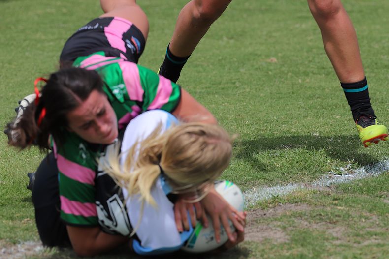 HNWP Trial SHARKS v RABBITOH’S