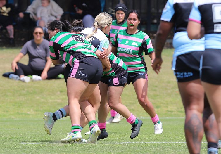HNWP Trial SHARKS v RABBITOH’S
