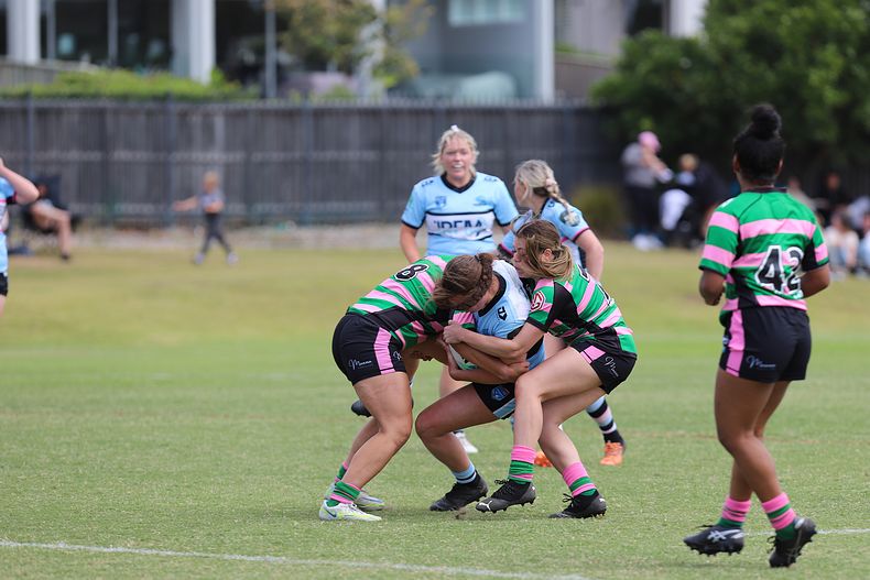 HNWP Trial SHARKS v RABBITOH’S