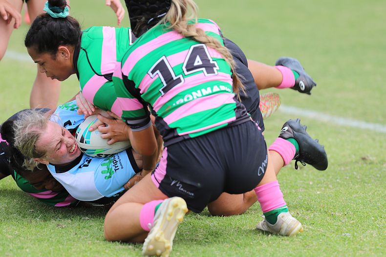 HNWP Trial SHARKS v RABBITOH’S