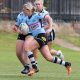 HNWP trial games Cronulla Sharks v South Sydney Rabbitoh's (Photo's : Steve Montgomery)