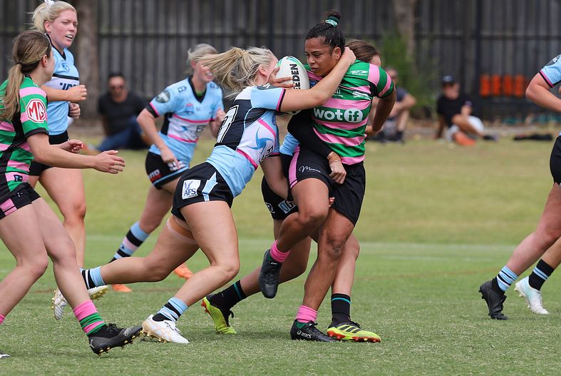 HNWP Trial SHARKS v RABBITOH’S