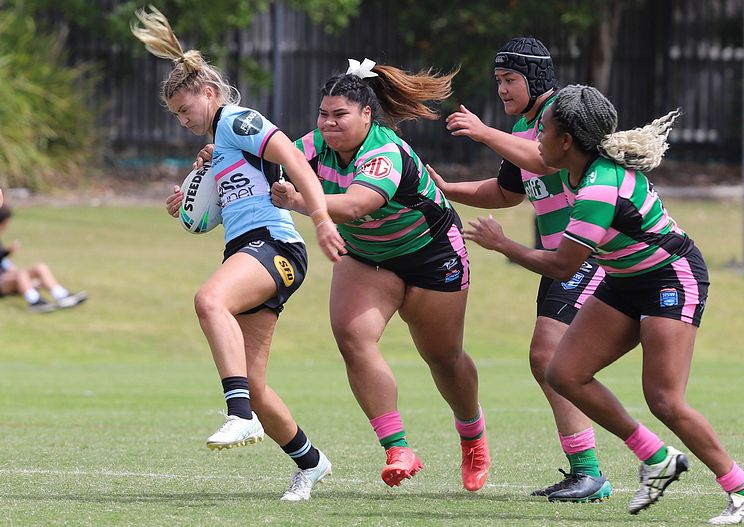HNWP Trial SHARKS v RABBITOH’S
