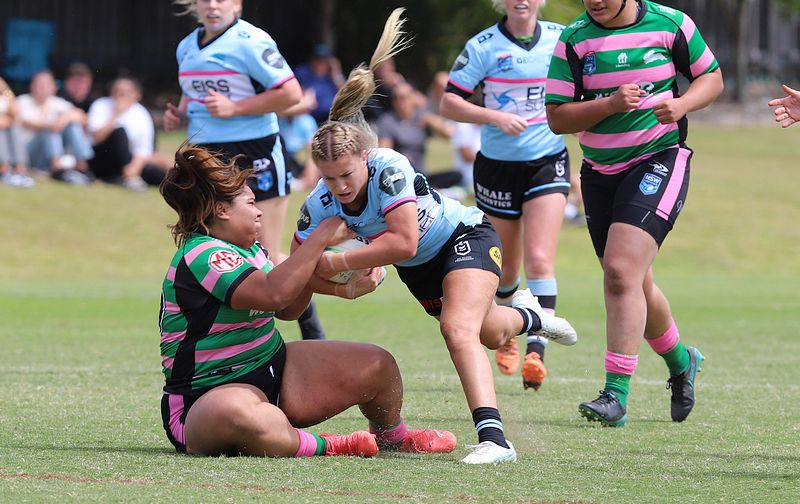 HNWP Trial SHARKS v RABBITOH’S