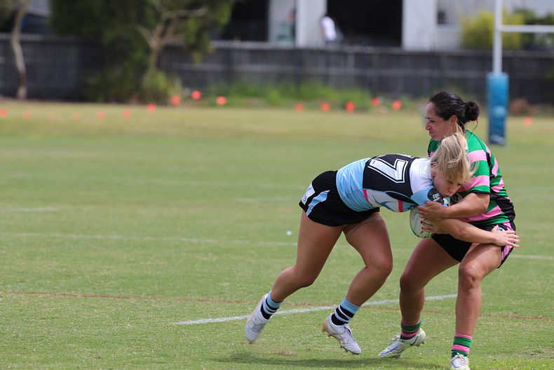 HNWP Trial SHARKS v RABBITOH’S