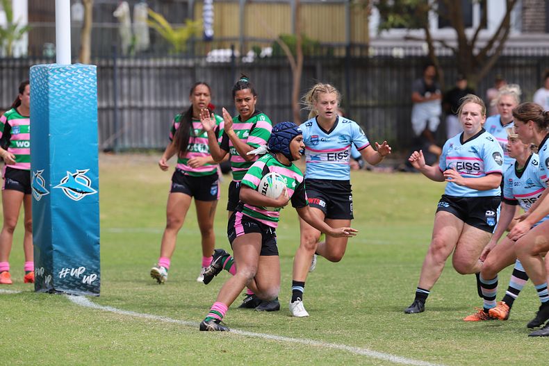 HNWP Trial SHARKS v RABBITOH’S