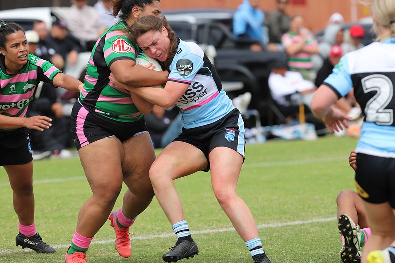 HNWP Trial SHARKS v RABBITOH’S