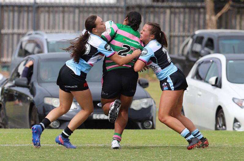 TGC Trial SHARKS v RABBITOH’S
