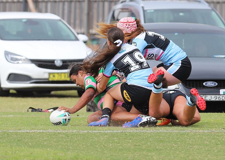 TGC Trial SHARKS v RABBITOH’S