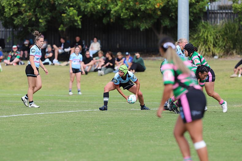 TGC Trial SHARKS v RABBITOH’S