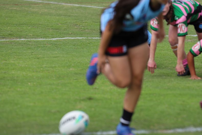 TGC Trial SHARKS v RABBITOH’S