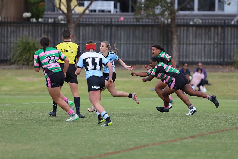 TGC Trial SHARKS v RABBITOH’S