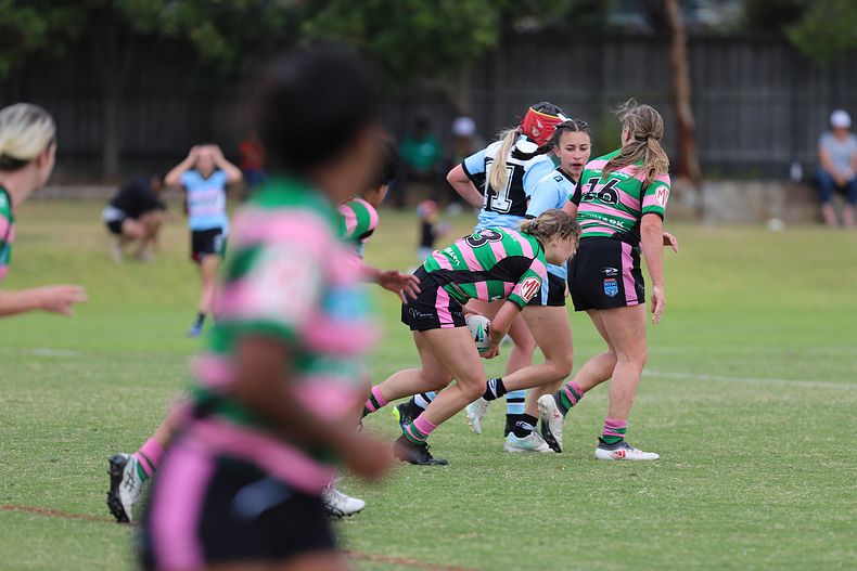 TGC Trial SHARKS v RABBITOH’S