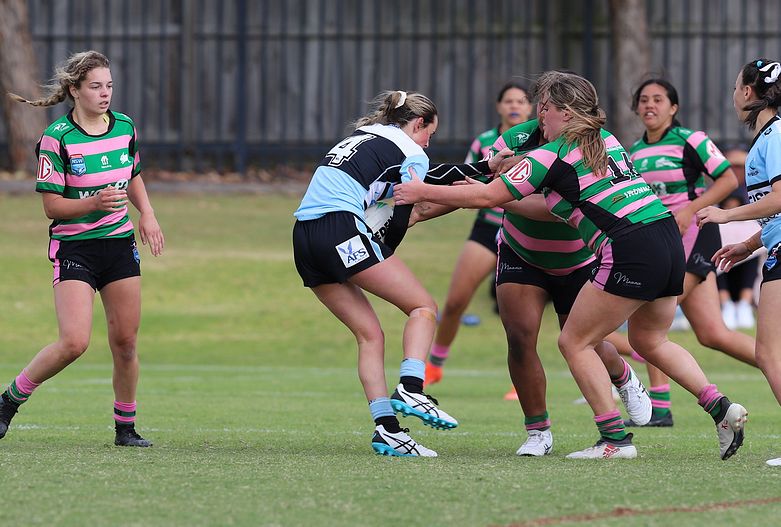 TGC Trial SHARKS v RABBITOH’S