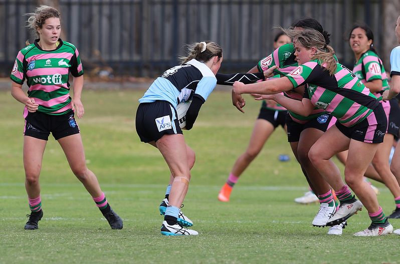 TGC Trial SHARKS v RABBITOH’S