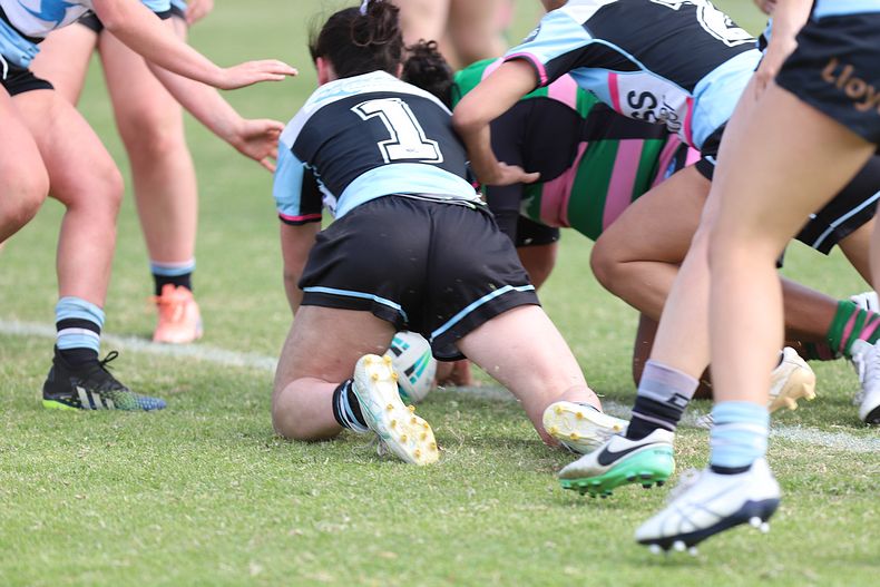 TGC Trial SHARKS v RABBITOH’S