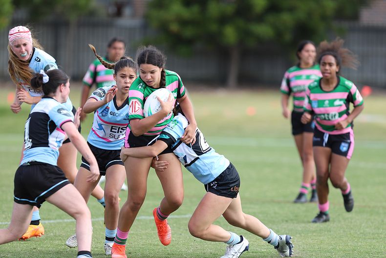 TGC Trial SHARKS v RABBITOH’S