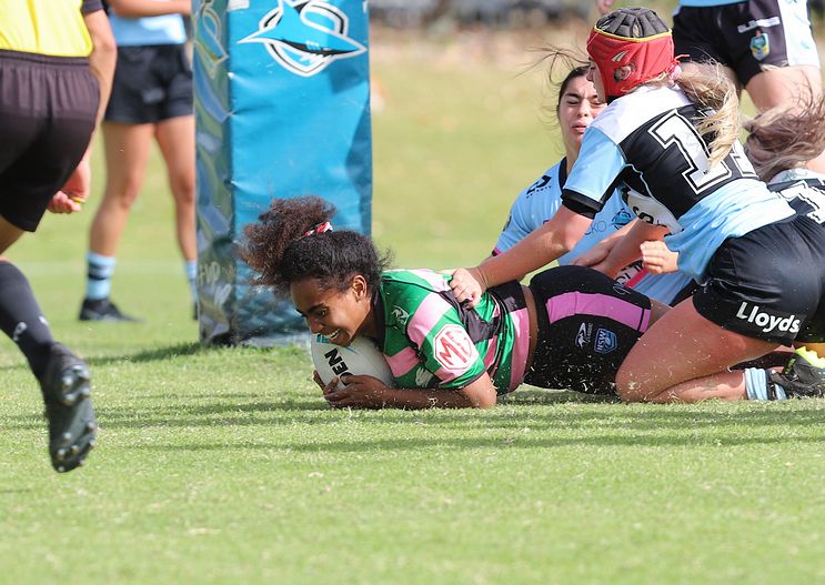 TGC Trial SHARKS v RABBITOH’S