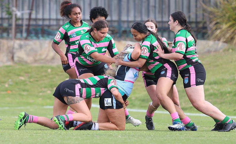 TGC Trial SHARKS v RABBITOH’S