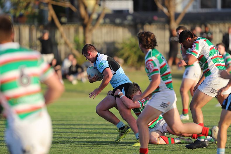 SG Ball Trial Sharks v Rabbitohs