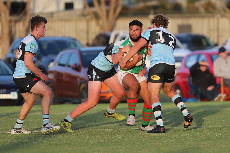 SG Ball Trial Sharks v Rabbitohs