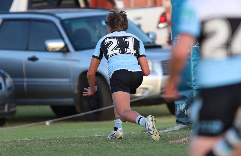 SG Ball Trial Sharks v Rabbitohs