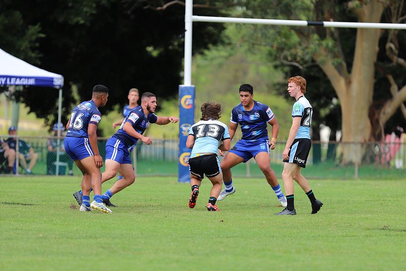 HMC Trial BULLDOGS v SHARKS
