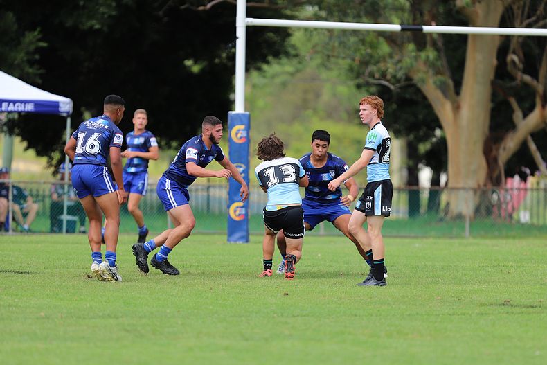 HMC Trial BULLDOGS v SHARKS