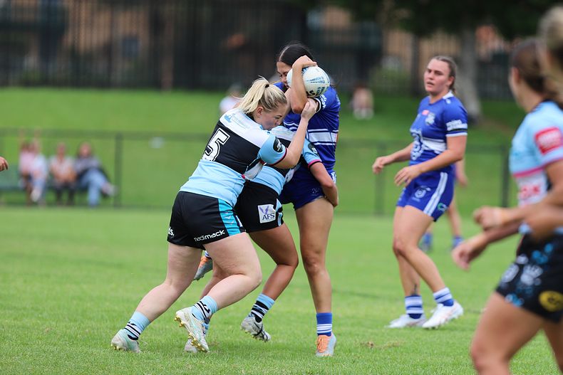 HNWP trial BULLDOGS v SHARKS