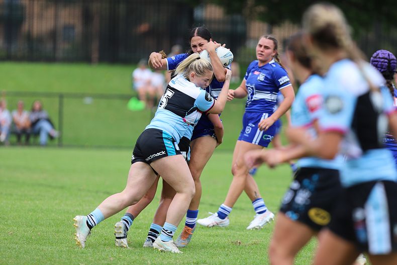 HNWP trial BULLDOGS v SHARKS