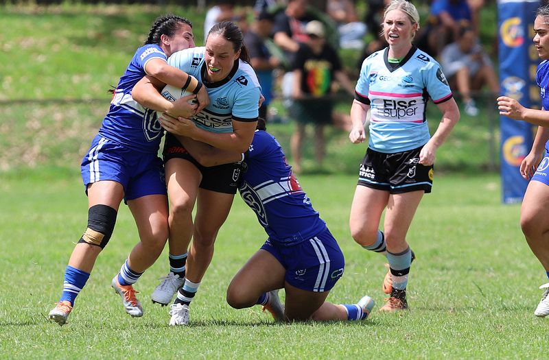 HNWP trial BULLDOGS v SHARKS