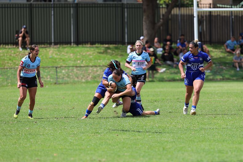HNWP trial BULLDOGS v SHARKS