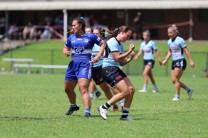 HNWP trial BULLDOGS v SHARKS