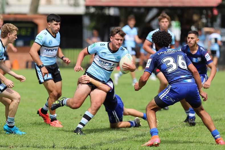 HMC Trial BULLDOGS v SHARKS