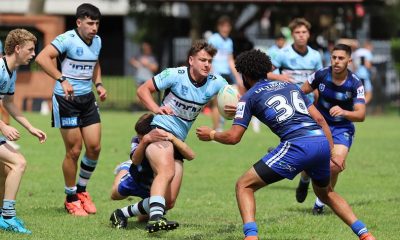 Sharks Junior Rep Teams Round One (Photo : Steve Montgomery)
