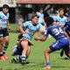 Sharks Junior Rep Teams Round One (Photo : Steve Montgomery)