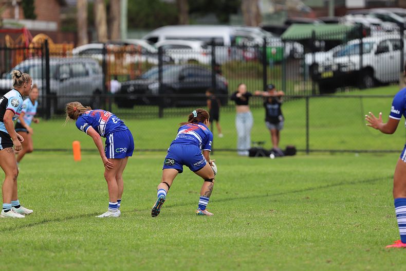 HNWP trial BULLDOGS v SHARKS