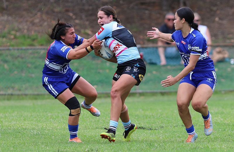 HNWP trial BULLDOGS v SHARKS