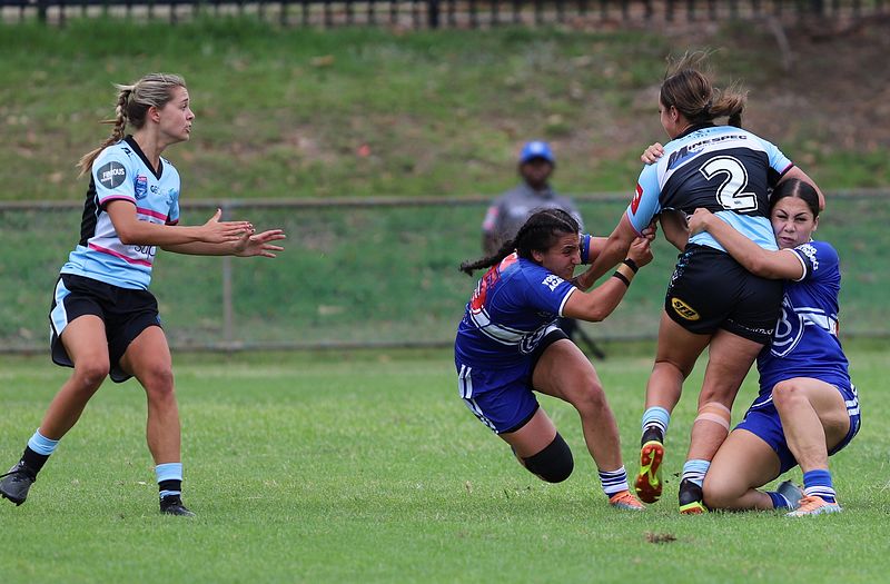 HNWP trial BULLDOGS v SHARKS