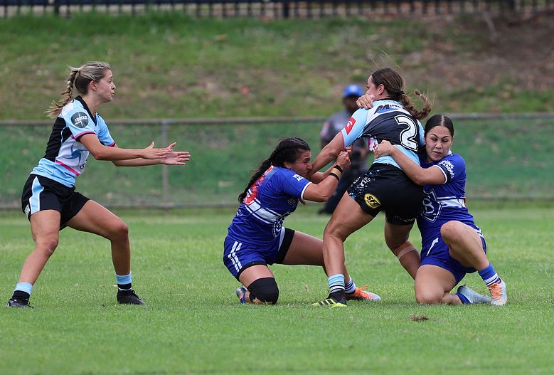HNWP trial BULLDOGS v SHARKS